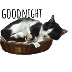 [LINEスタンプ] monkun.