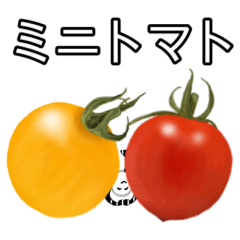 [LINEスタンプ] 料理によく使う野菜のスタンプ