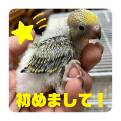 [LINEスタンプ] ゆきちゃんスタンプ30