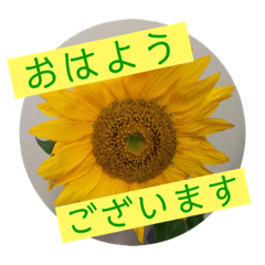 [LINEスタンプ] 大きめ文字で丁寧にごあいさつ