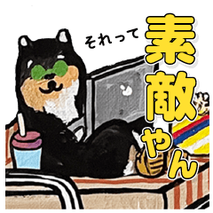 [LINEスタンプ] 柴犬クリエイター（よく使う言葉）