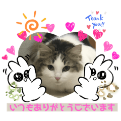 [LINEスタンプ] こうめさん11