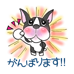 [LINEスタンプ] ボストンテリアのボンド兄さん③