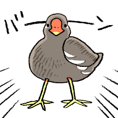 [LINEスタンプ] ゆるふわ野鳥スタンプ