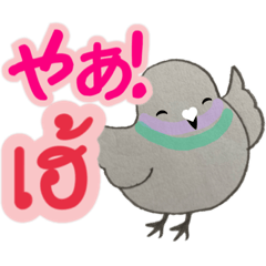 [LINEスタンプ] 鳩のイラストのタイ語と日本語のスタンプ