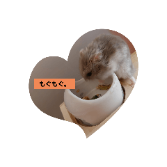 [LINEスタンプ] ころころコロ太郎。2