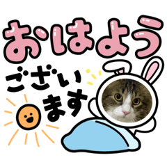 [LINEスタンプ] ムカムカ＊