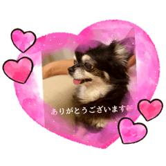 [LINEスタンプ] ワンダフルな毎日3