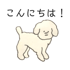 [LINEスタンプ] 白いトイプードルのゆる〜いスタンプ