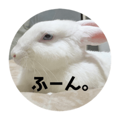 [LINEスタンプ] Cleすたんぷ。