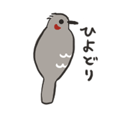 [LINEスタンプ] ふっくらヒヨドリ