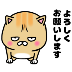 [LINEスタンプ] 猫のぶちゃまる☆その6 敬語の画像（メイン）
