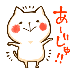 [LINEスタンプ] 信じる猫