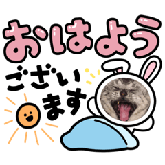 [LINEスタンプ] 神崎アニマルズ