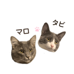 [LINEスタンプ] タビマロスタンプver2