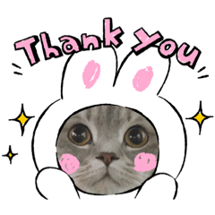 [LINEスタンプ] ぎんたまる①