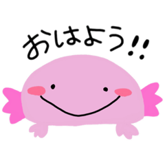 [LINEスタンプ] ウーパーちゃんの日常