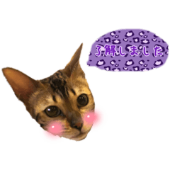 [LINEスタンプ] クレアとメリー